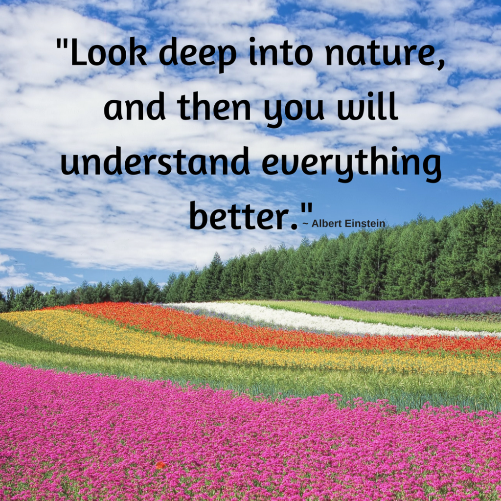 Look Deep Into Nature And Then You Will Understand Everything Better