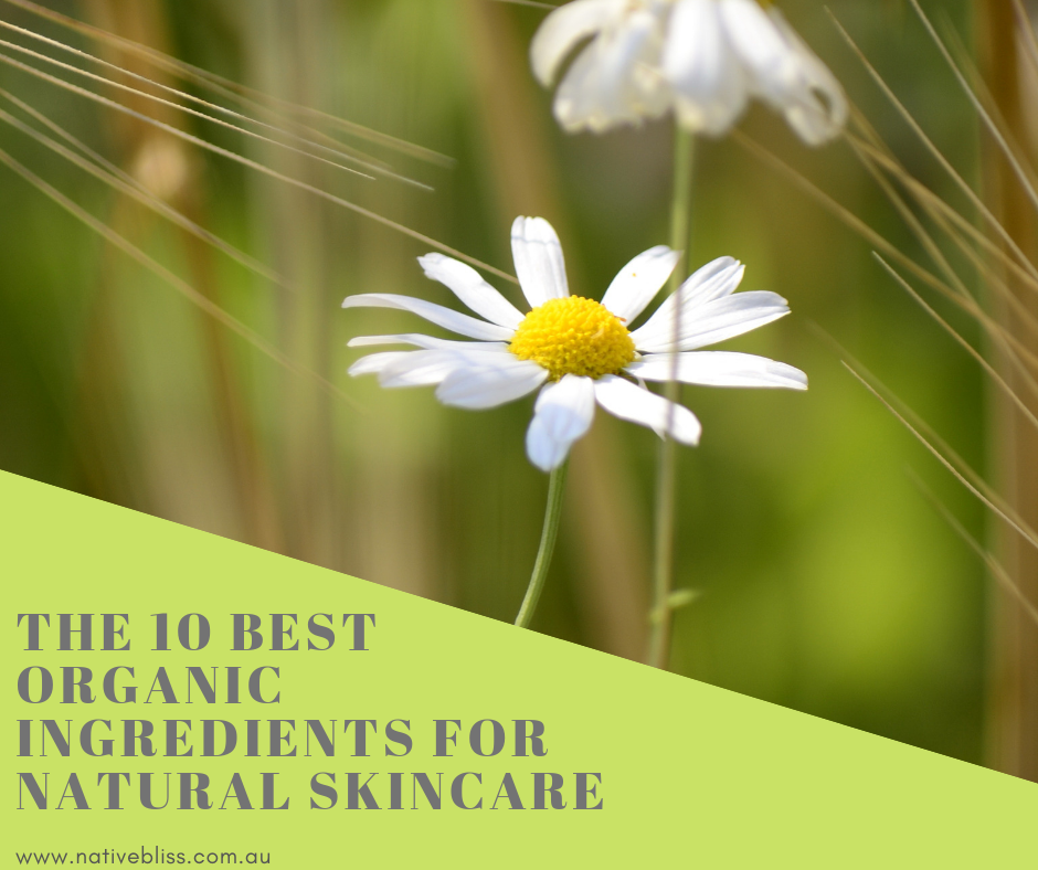 The Best Organic Ingredients For Natural Skincare